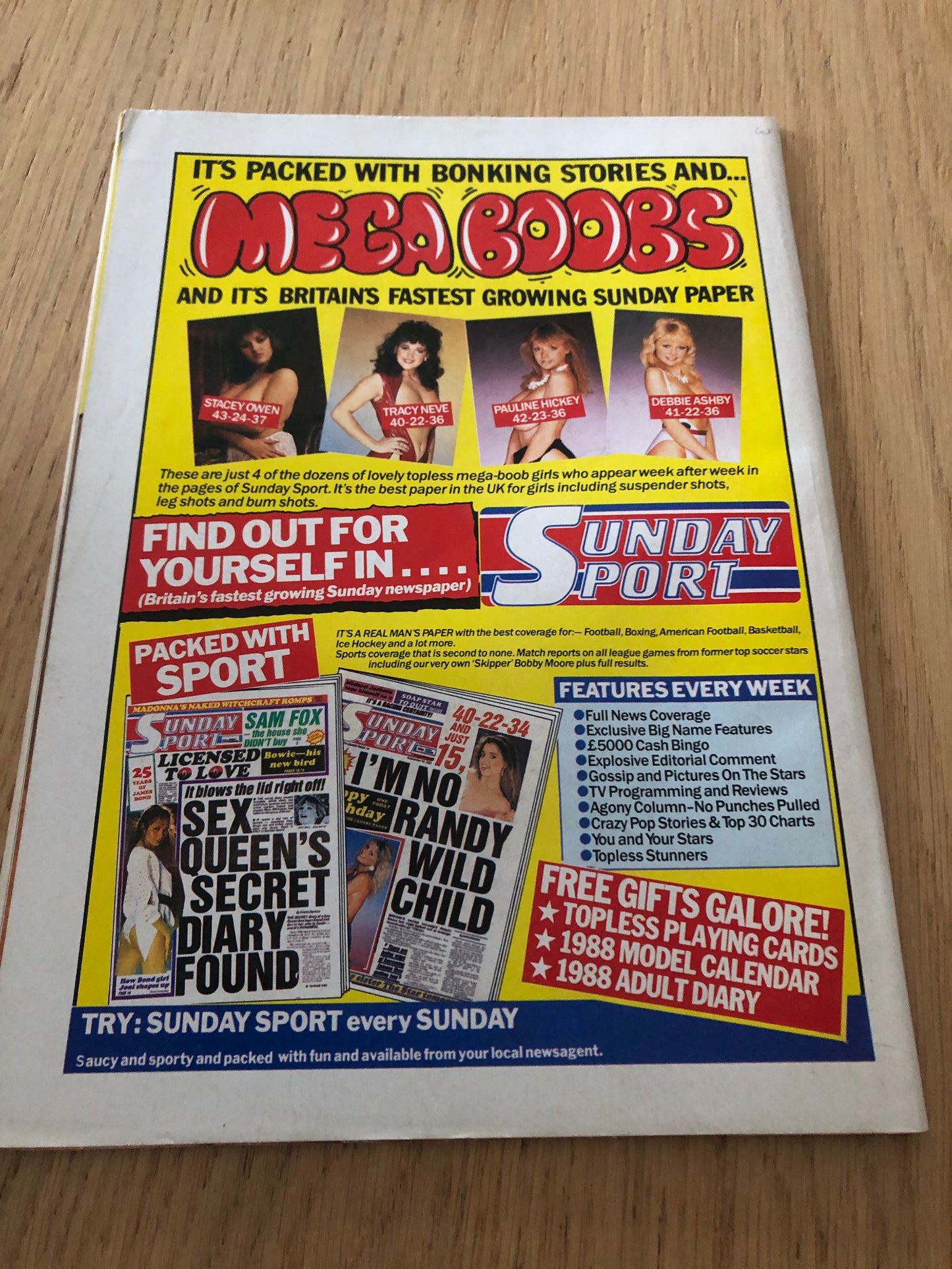 Park Lane No 17 - Sheptonhurst Publications